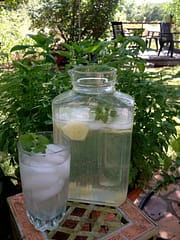 Summer drink water with cucumber, ginger and lemon balm.
