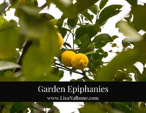 Garden Epiphanies at www.lisanalbone.com