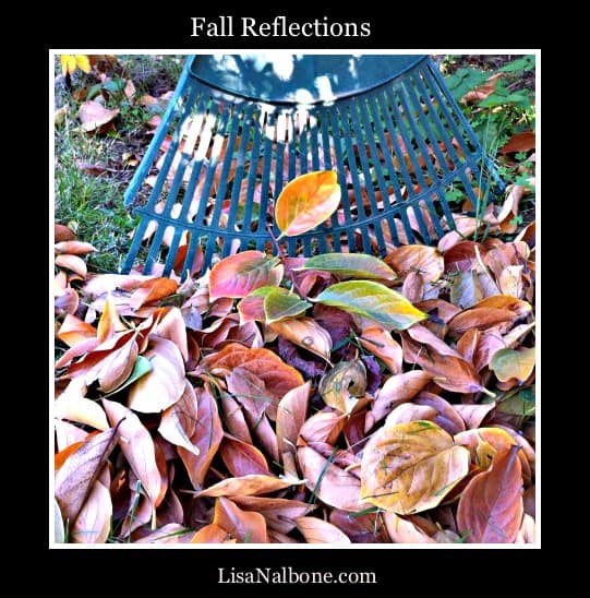 Fall reflections Lis Nalbone.com